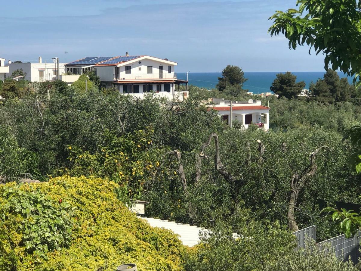 Appartamenti Santa Margherita ヴィエステ エクステリア 写真