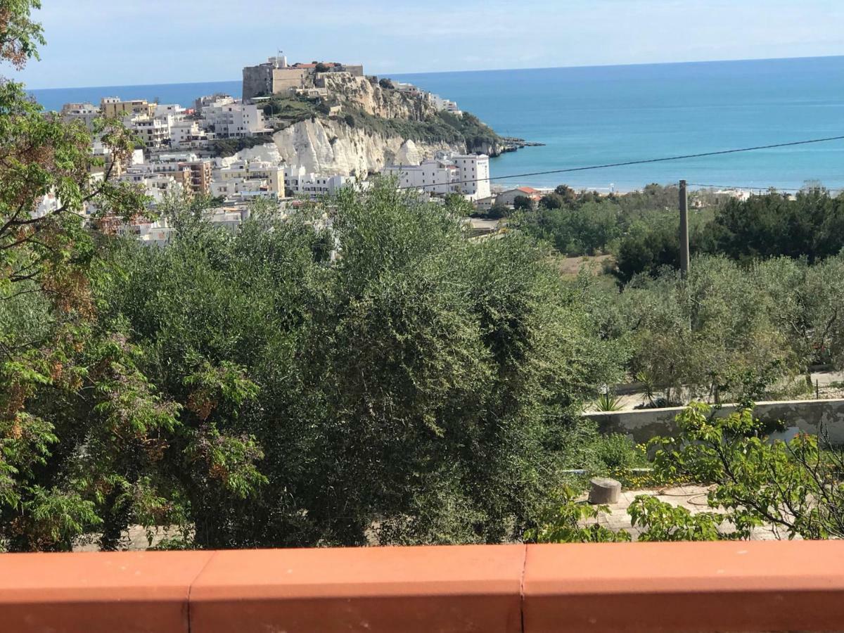 Appartamenti Santa Margherita ヴィエステ エクステリア 写真